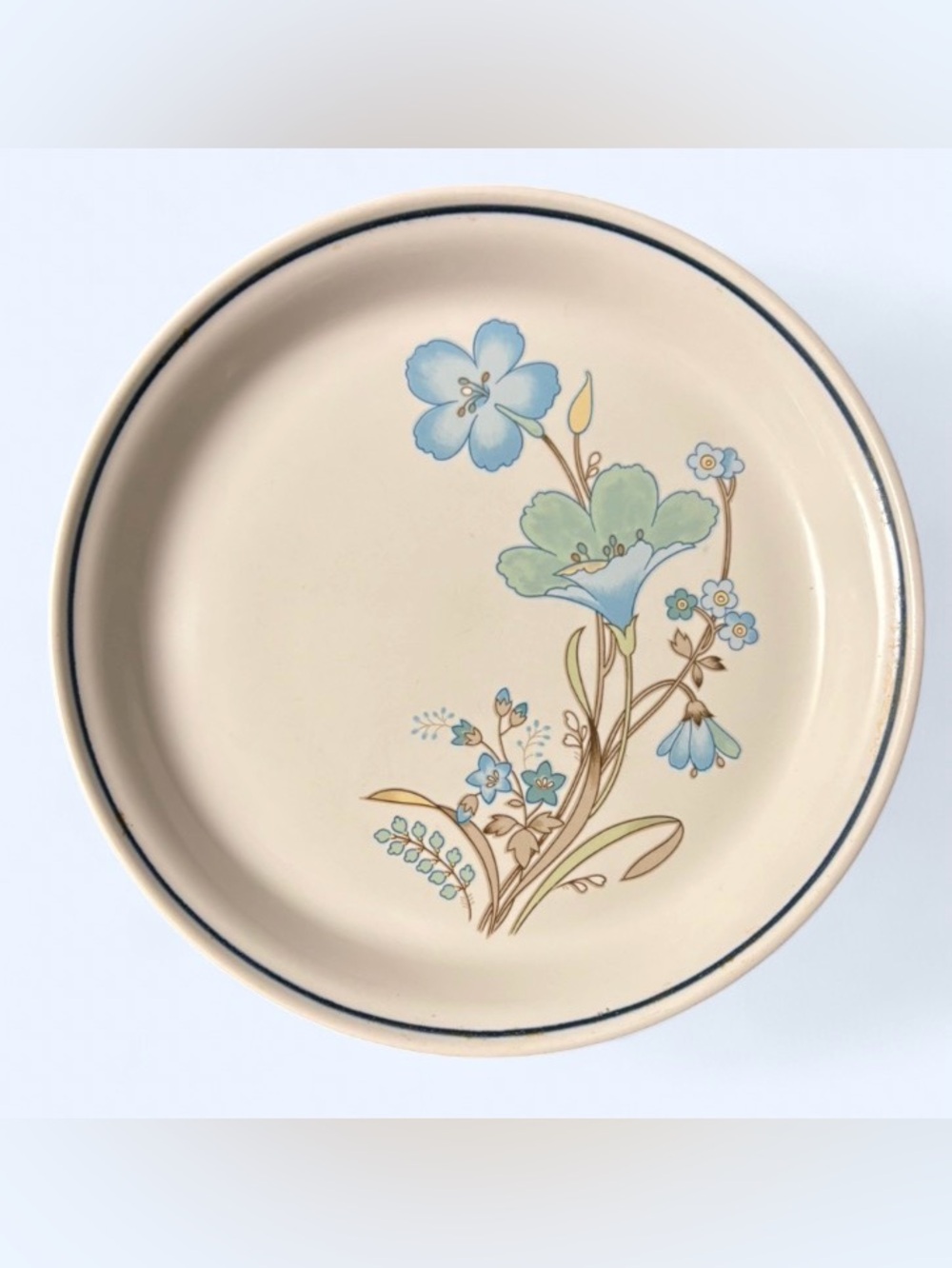 🦖 5 forc$20 VTG Kenmark Kenstone Japan Spring Delight Blue Floral Plate